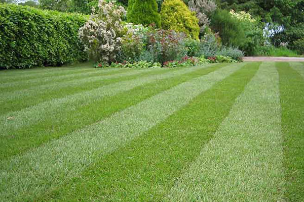 Lawn care Melton Mowbray
