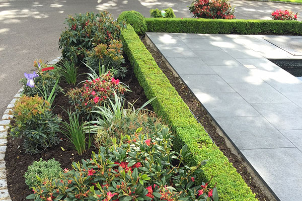 Previous TR Gardening project Example of previous TR Gardening work