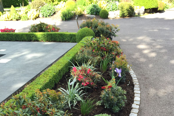 Previous TR Gardening project Example of previous TR Gardening work